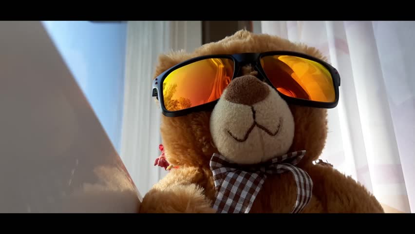 A teddy bear in red sunglasses is happy about the arrival of summer