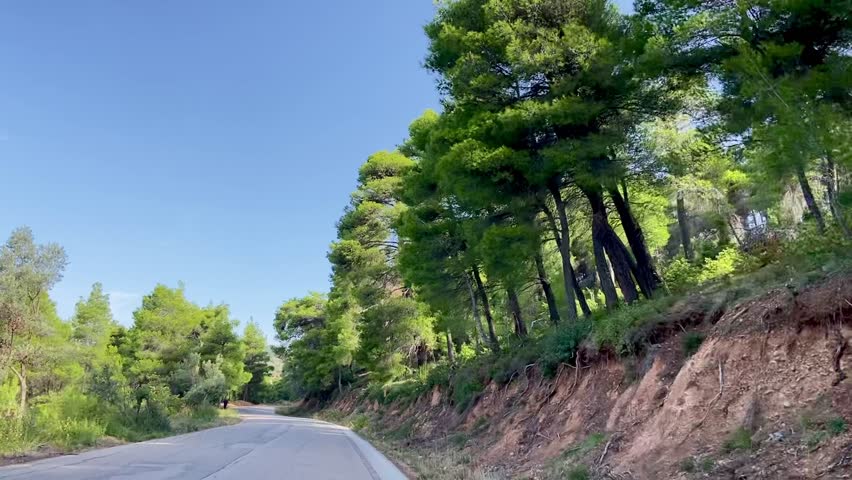 Driving view from a car window of a road with a man walking and lined with pine trees curving through the mountains on a sunny day on the island of Evia (Euboea), Greece