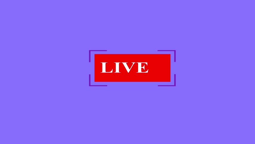Shutterstock Video