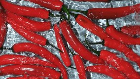 Minimalist Food Art with Red Chilies and Water - Powered by Shutterstock - Get 15% off with code: PIKWIZARD15