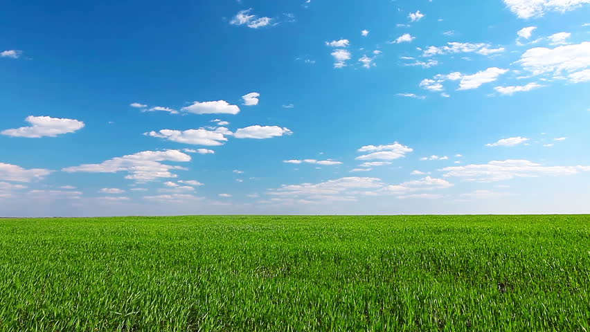 green field and cloudy sky Royalty-Free Stock Footage #3809504