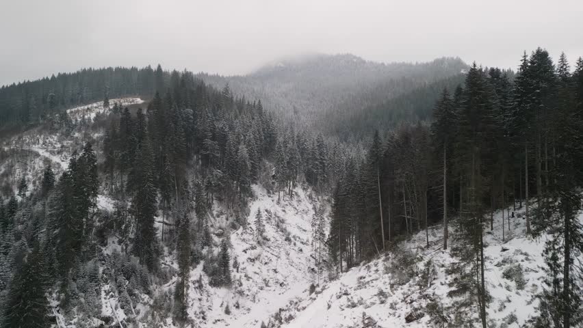 A stunning snowy winter landscape featuring a dense forest surrounded by misty mountains