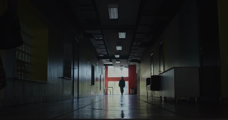 Shutterstock Video