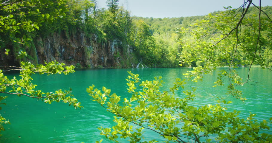 Clear turquoise lake and forest view in Plitvice Lakes National park in summer