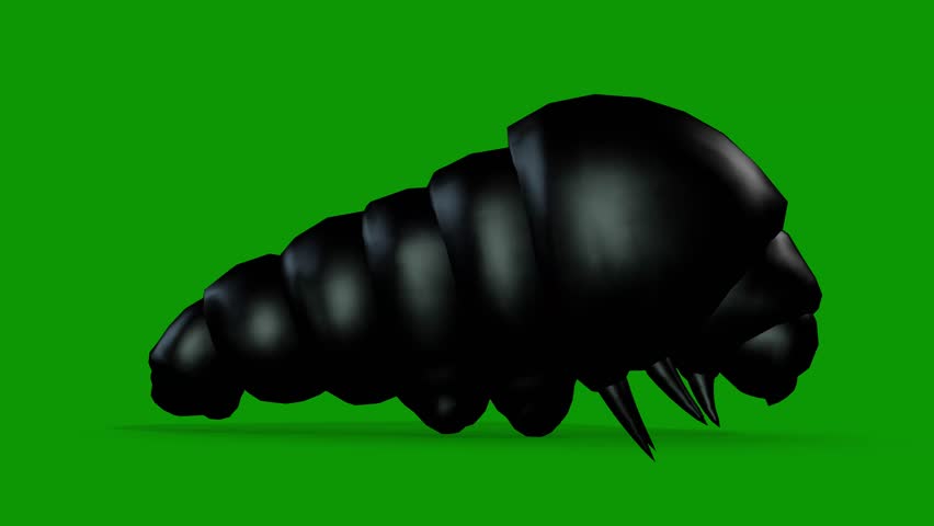 Black Caterpillar Silhouette Animation on Green Screen Right