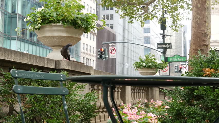 Fifth avenue, 5 ave road sign, Manhattan midtown architecture, New York City 5th av, 42 street green corner near Bryant Park and Library. Traffic crossroad signage USA. Chair and table, metallic bench