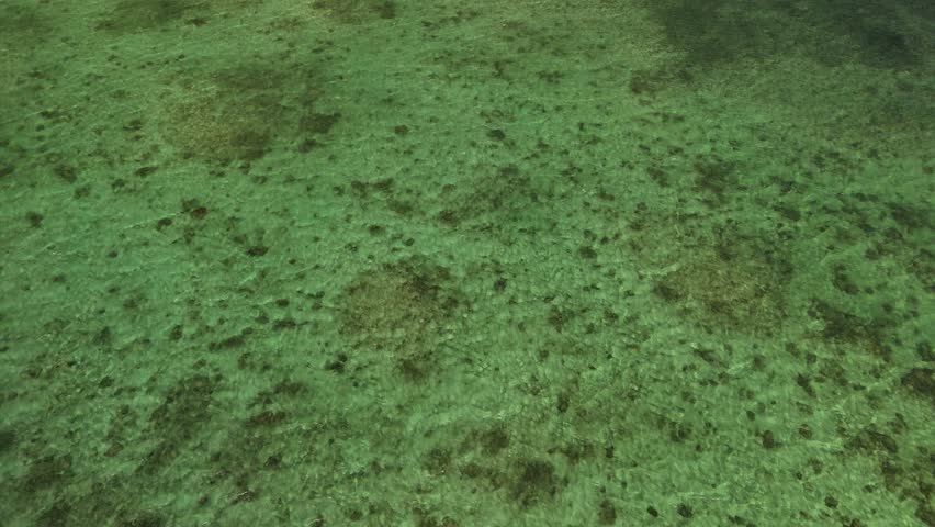 Green Island, Cairns, Queensland, Australia – 4K Aerial Drone Footage of Coral Cay on the Great Barrier Reef, Featuring Turquoise Waters, Coastal Reef, Jetty, White Sand Beaches, and Lush Rainforest 