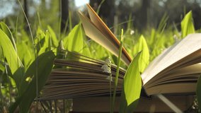 Open book among green leaves with lily of the valley in spring sunlight, Reading outdoors with flowers and fresh grass in warm natural morning forest light - Powered by Shutterstock - Get 15% off with code: PIKWIZARD15
