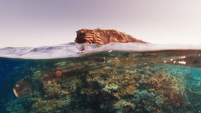 Splitted underwater shot of the shallow coral reef and freedivers swims underwater nearby. Komodo National Park, Indonesia - Powered by Shutterstock - Get 15% off with code: PIKWIZARD15