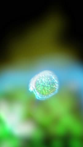 Study of cell division through a microscope. Abstract animation of cells for any medical, technological and similar projects.
