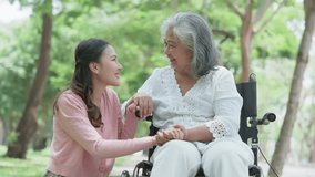 Asian careful caregiver or nurse taking care of the patient in a wheelchair. Concept of happy retirement with care from a caregiver and Savings and senior health insurance, a Happy family - Powered by Shutterstock - Get 15% off with code: PIKWIZARD15