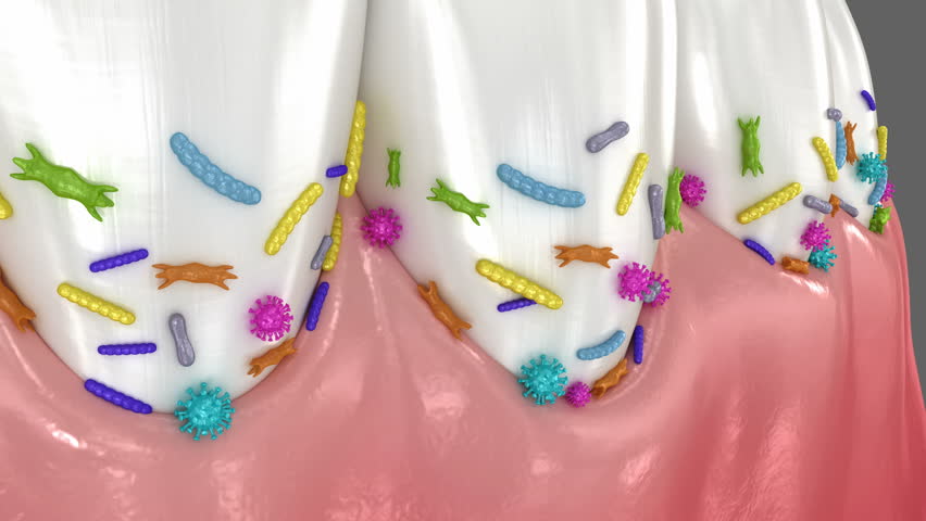 Teeth and bacterias. 3D Animation, dental concept