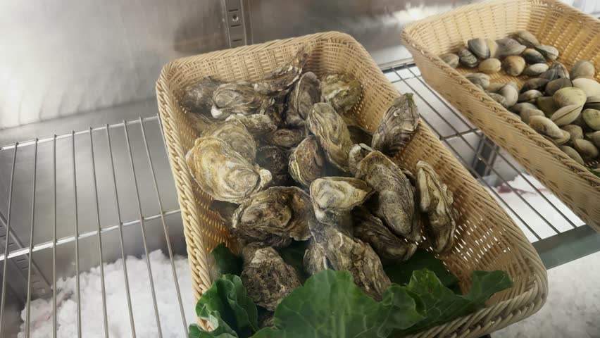 Close-up of fresh raw oysters on the counter in the seafood market. High quality 4k footage