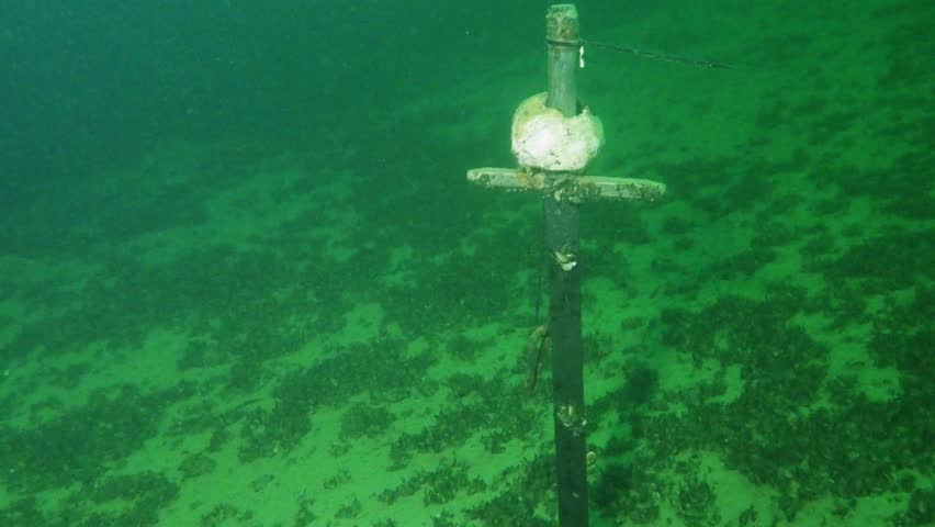 Underwater Skull Sword Emerging from Sediment