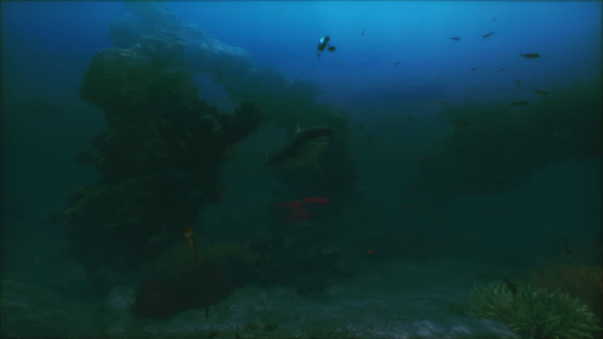 A great white shark glides effortlessly through the calming blue waters of the ocean during early morning light, surrounded by small fish and underwater scenery.