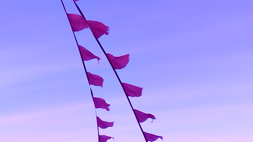 Shutterstock Video