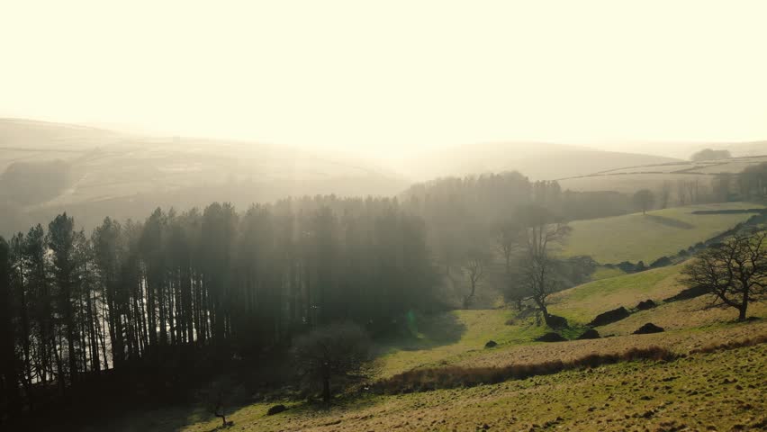 Countryside lake and pine trees Peak District National Park on misty day wide 4k drone aerial selective focus