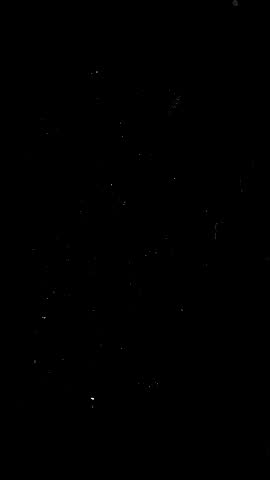 Shutterstock Video