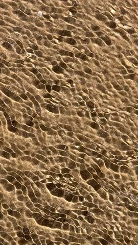 
Summer background of sea ​​sandy shore under rippling transparent water 