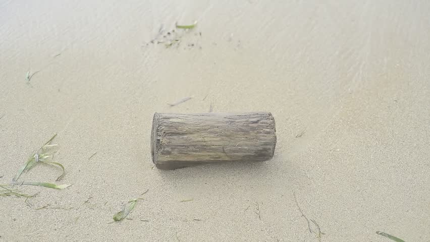 Small piece of wood on the sand hit by the waves. 
