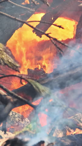 Flames engulf fallen branches debris, with smoke swirling in air as wildfire spreads through forest.