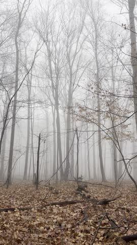 Beautiful and Foggy day during the winter time at the Randolph trails. 