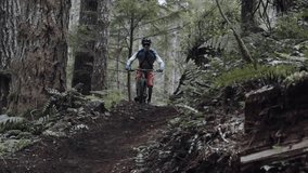 A mountain biker wearing red shorts and a blue jersey rides down a rugged forest trail surrounded by towering trees and ferns. The motion and focus reflect adventure and technical skill. - Powered by Shutterstock - Get 15% off with code: PIKWIZARD15