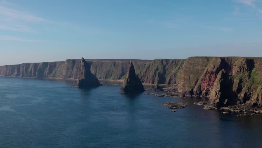 Nesting birds flying around the seascape at the duncansby stacks in Scotland