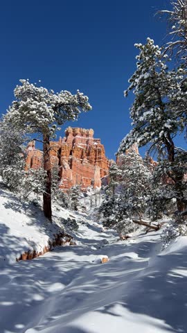 A beautifully serene winter scene showcasing stunning, snowcovered red rock formations alongside pine trees