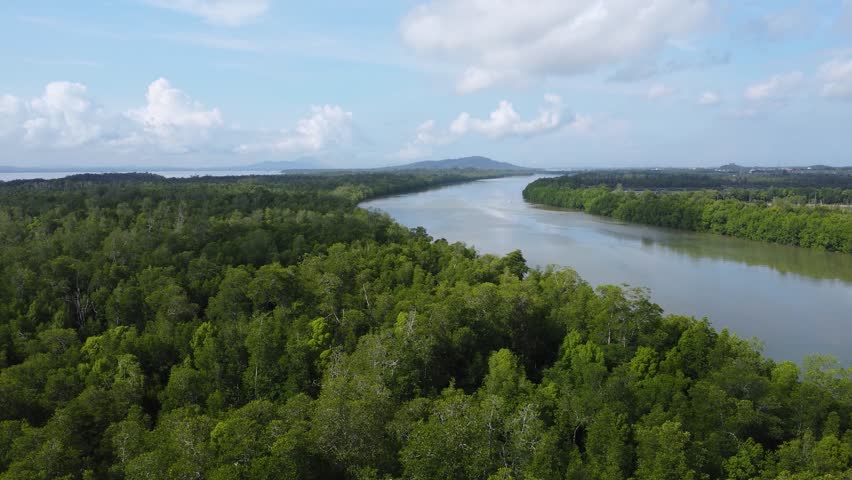The beauty of the curve of the river in Kalimantan waters which are squeezed by Kalimantan forests like the Amazon River