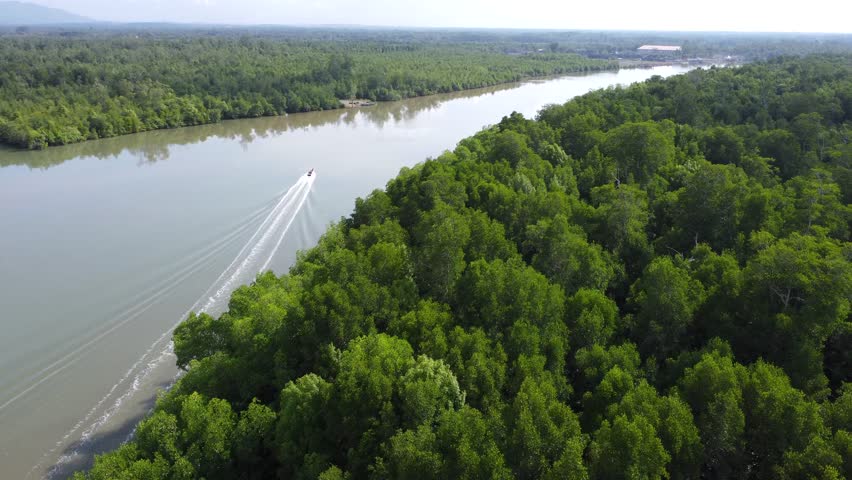 The beauty of the curve of the river in Kalimantan waters which are squeezed by Kalimantan forests like the Amazon River