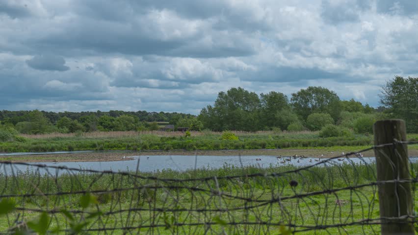Nunnery Lakes Reserve Thetford timelapse nature landscape England United Kingdom