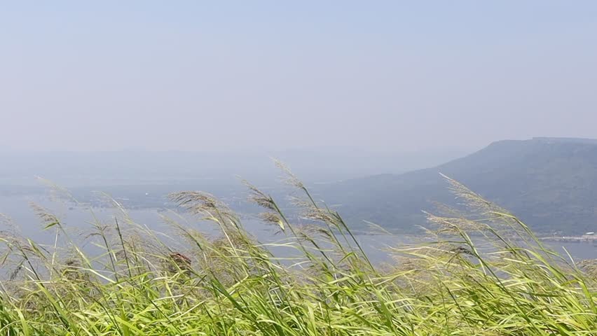 Grassland, grass swaying in the wind, on top of a high mountain with a wide view of the river and mountains.