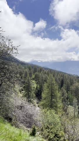 Vertical panorama of Lac de Serre-Ponçon, France. Sweeping view over alpine forest, lake, and mountains under a partly cloudy sky. Perfect for travel and nature visuals.