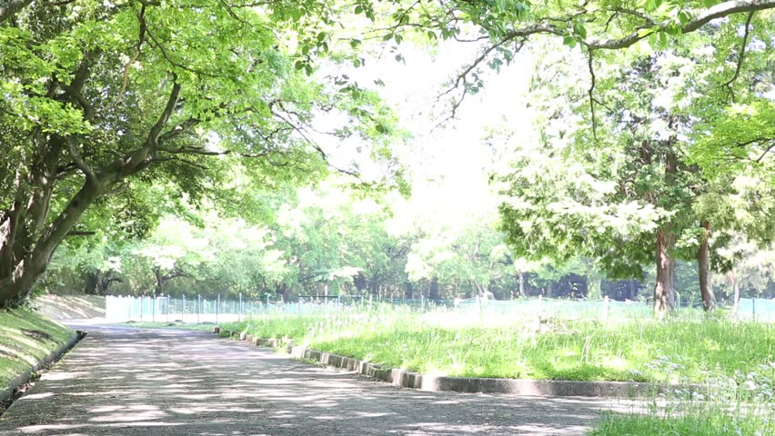 Japanese elderly man walking for exercise, back view, rehabilitation