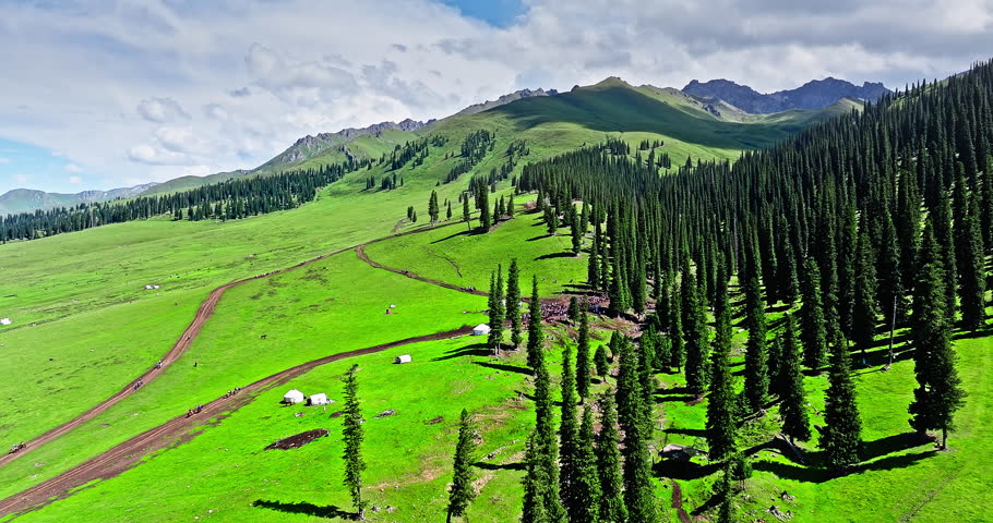 Aerial video of Nalati grasslands, Green meadows and forest with mountain natural landscape in Xinjiang. Famous tourist destinations in China.