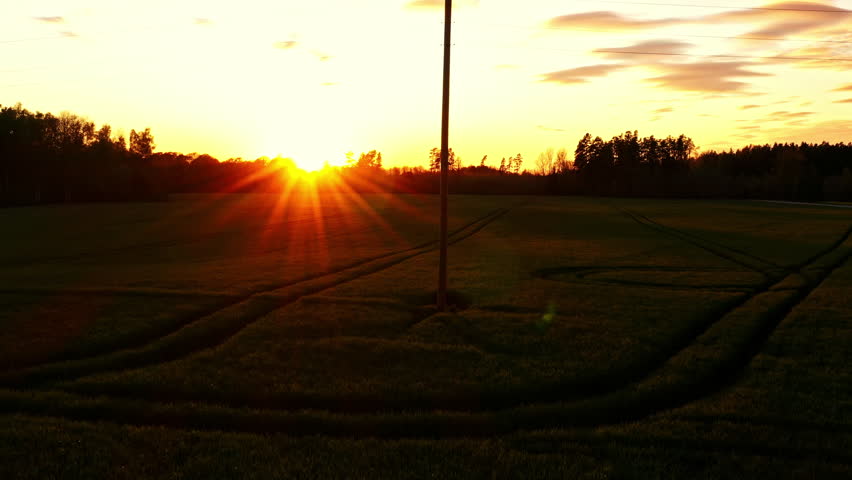 Sunset over farmland with forest horizon and visible field tracks