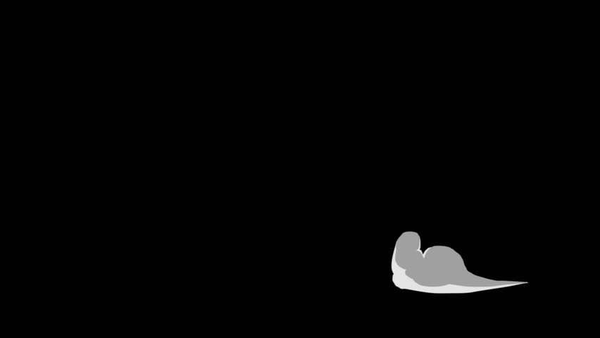 simple smoke animation with transparent background