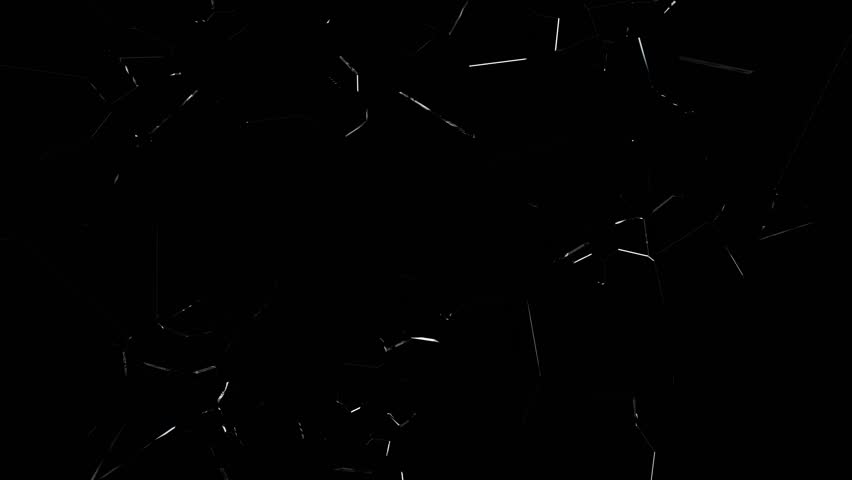 Shutterstock Video