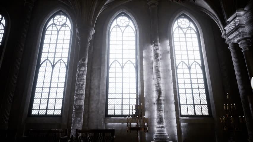 Shutterstock Video