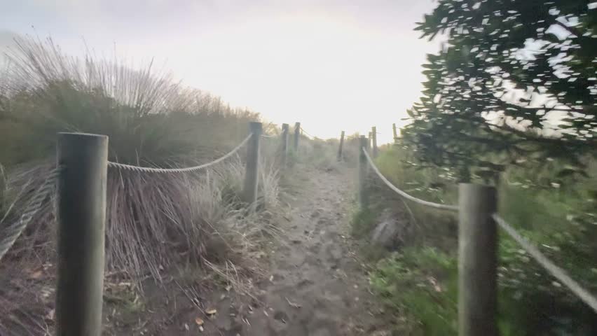 Beautiful lagoon and ocean beach in Piha, Auckland, New Zealand, before sunset.