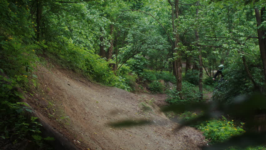Mountain biker navigates dirt trail with ramp through dense forest. Cross-country track on hillside with tall trees and thick undergrowth surrounding rider