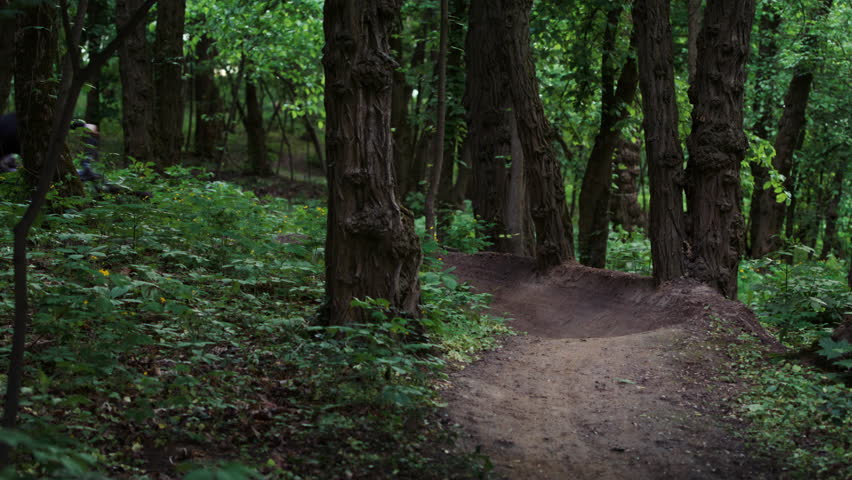 Mountain biker launches off small dirt mound on trail jumping. Dense forest with tree trunks and undergrowth define natural environment of cross-country track
