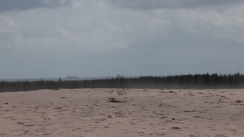 Skagen, Denmark A man walks through the landmark Råbjerg sand dunes on a windy day.