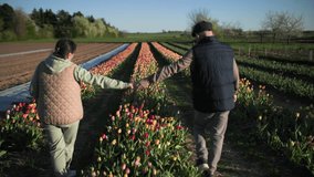 An elderly couple, holding hands, walks through rows of flowers - Powered by Shutterstock - Get 15% off with code: PIKWIZARD15