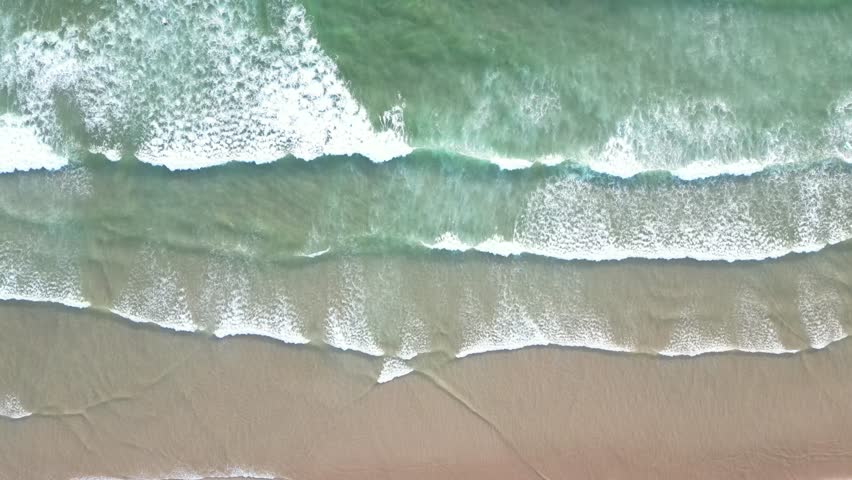 Shutterstock Video