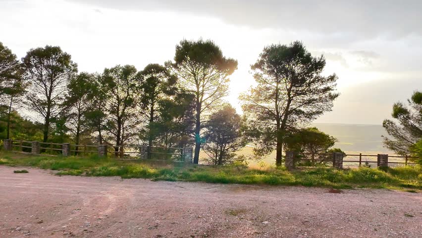 Sunset, sunset in the forest, leaves, trees, forest at sunset, golden light, twilight, shadows, branches, pine trees, autumn colors, peaceful, nature, woods, glowing sky, silhouettes, quiet atmosphere