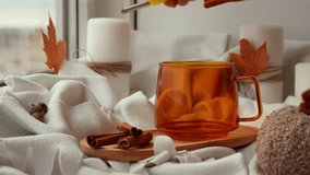 Seasonal drink cacao coffee with whipped cream and cinnamon sticks Thanksgiving and Hello Fall Halloween concept. Celebrating autumn holidays at cozy home on the windowsill atmosphere Autumn leaves - Powered by Shutterstock - Get 15% off with code: PIKWIZARD15