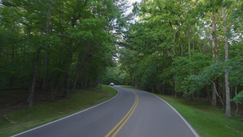 Road trip travel in Appalachian mountains. Car POV driving on parkway through woods nature in summer wet rainy season. Colorful forest in Tennessee