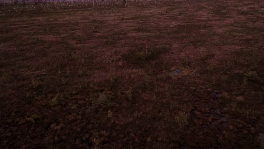 Aerial view of a vast, swamp ] landscape with sparse vegetation and a reddish hue, during sunset .